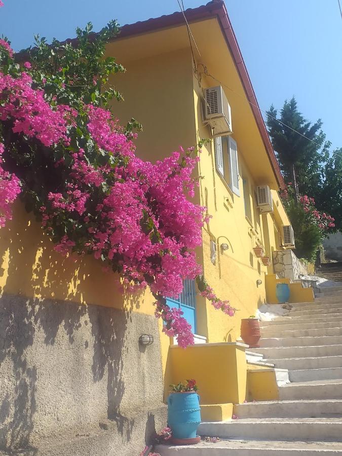 Villa Eleni Vathy  Zewnętrze zdjęcie